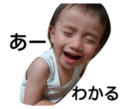 555991168