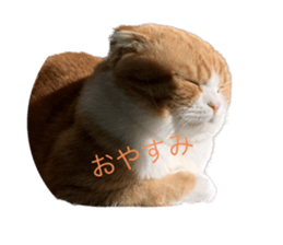 555998126