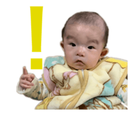 555999288