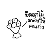 556004531