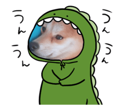 556035672