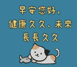 556035967