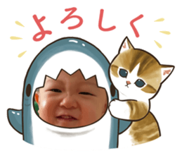 556088647