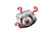 556097433