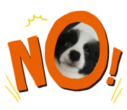 556097434