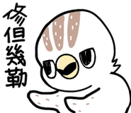 556107707
