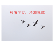 556129620
