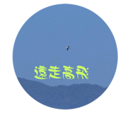 556129626
