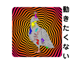 556162802