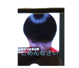 556163584