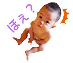 556186278