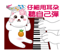 55619067