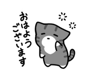 556202710