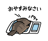 556202711