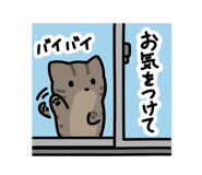 556202716