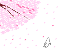 556203538