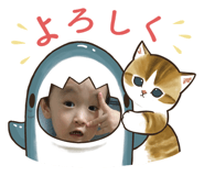 556211984