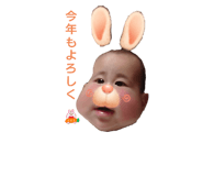 556217187