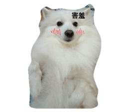 556231749