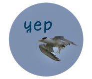 556235725