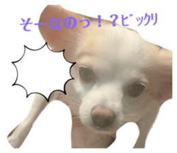 556240692