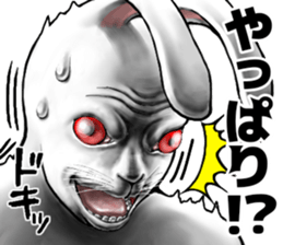 556251991