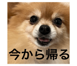556254501