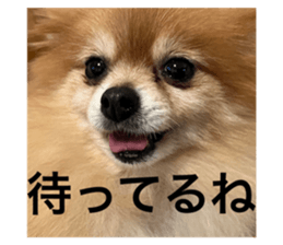 556254502