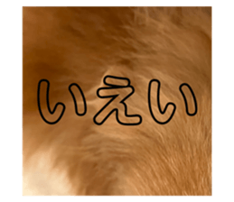 556254506