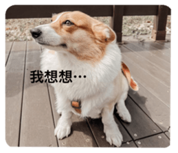556259919
