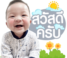 556260652