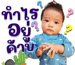 556261763