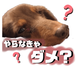 556265465