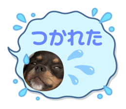 556266894