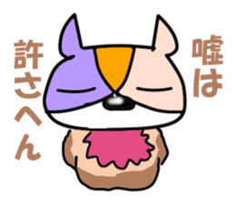 5562998