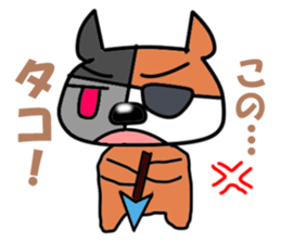 5563002