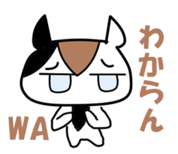 5563005