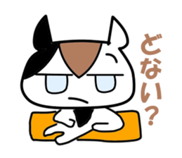5563006
