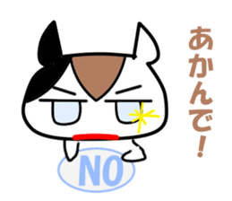 5563009