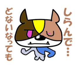 5563016