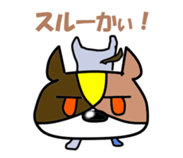 5563017