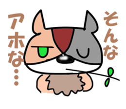 5563026
