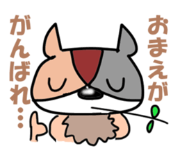 5563027