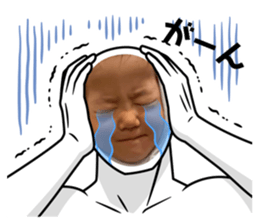 556303648