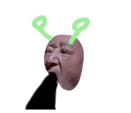 556326268