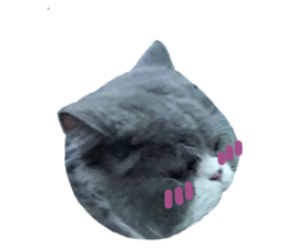 556352302