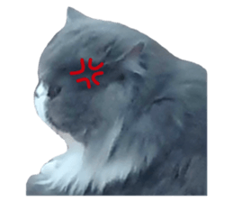 556352303
