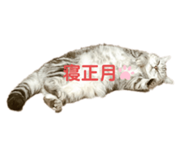 556364999