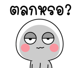 556393908