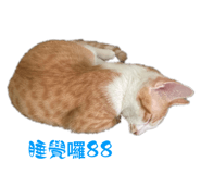556414983